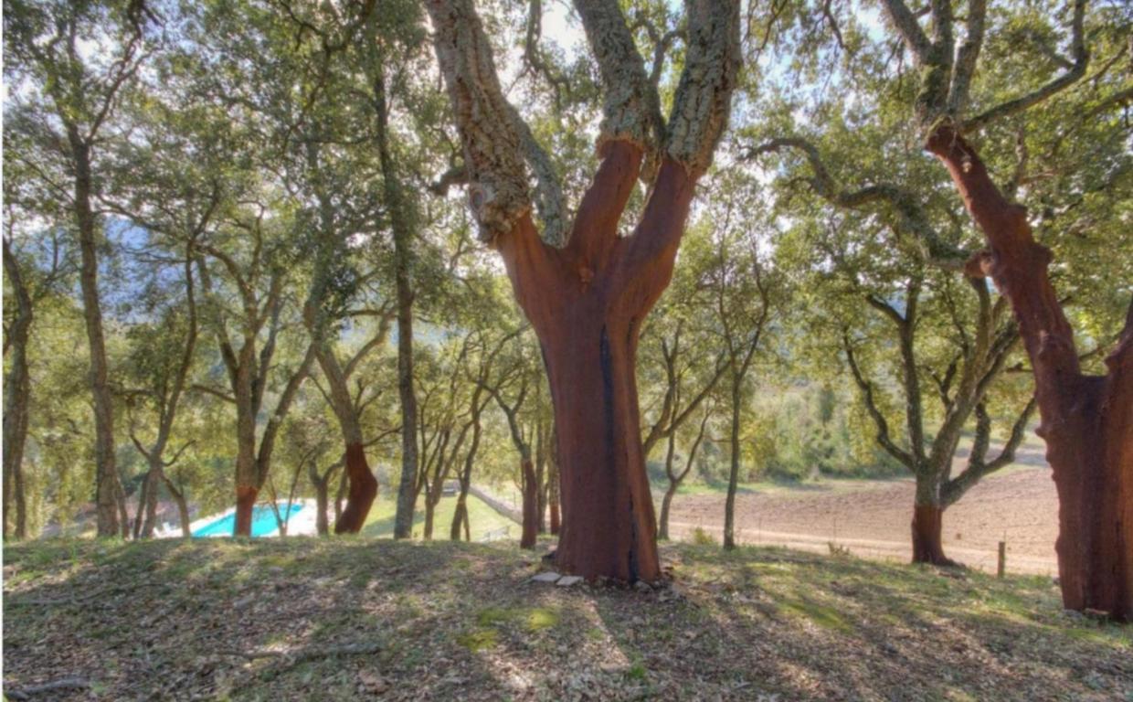 Gites Carbuccia En Corse Avec Piscine Chauffee Екстер'єр фото