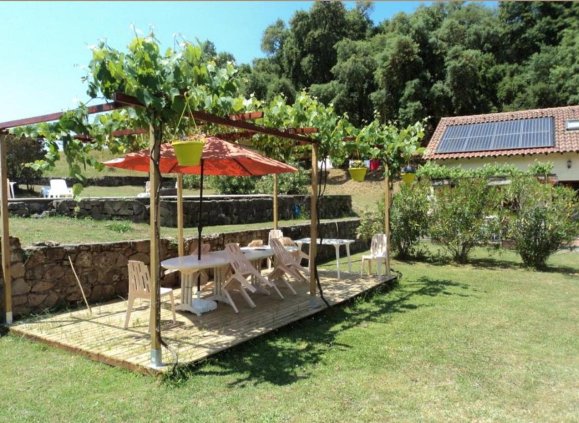 Gites Carbuccia En Corse Avec Piscine Chauffee Екстер'єр фото
