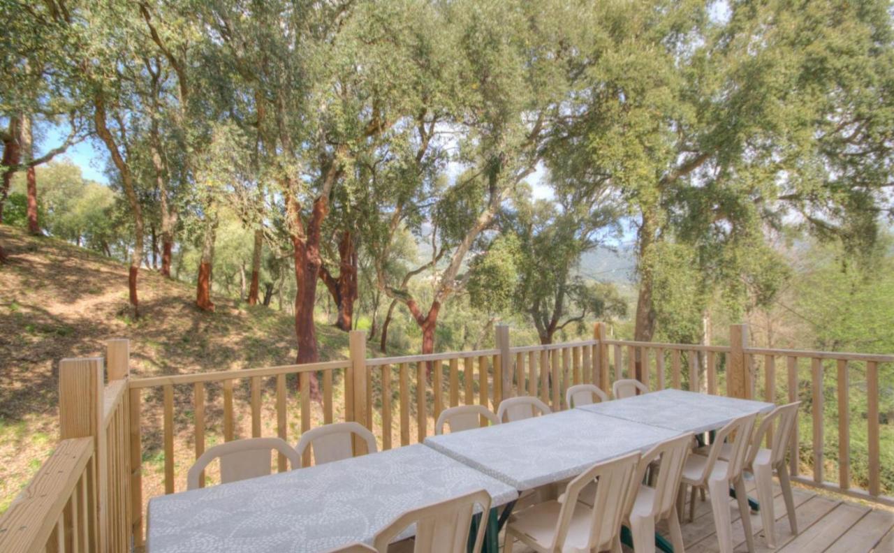 Gites Carbuccia En Corse Avec Piscine Chauffee Екстер'єр фото
