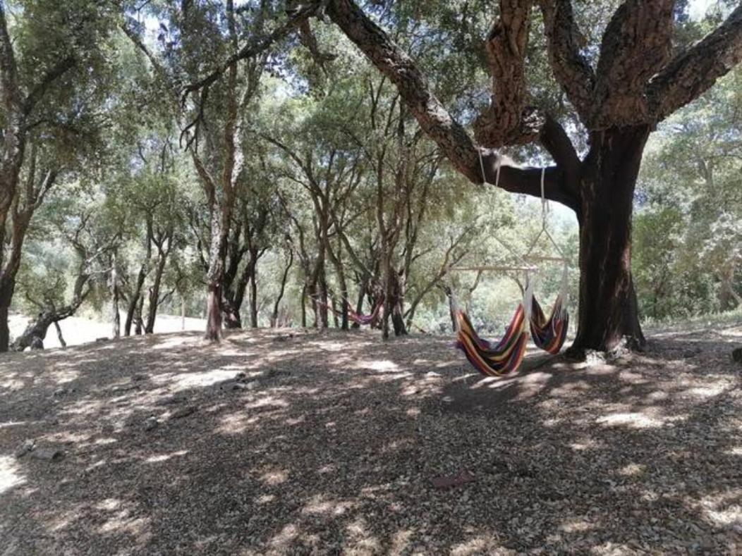 Gites Carbuccia En Corse Avec Piscine Chauffee Екстер'єр фото