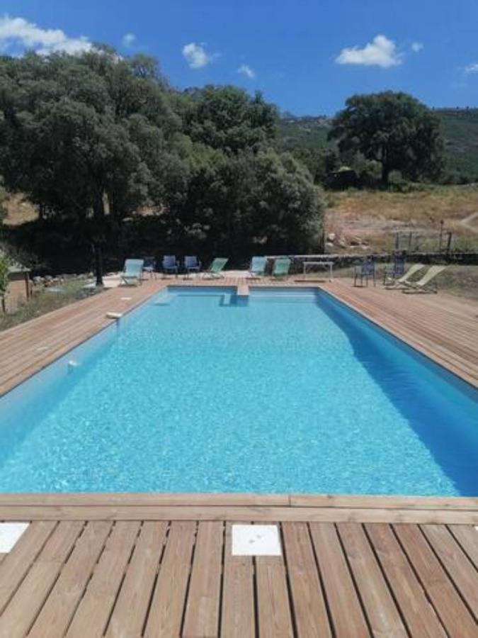 Gites Carbuccia En Corse Avec Piscine Chauffee Екстер'єр фото