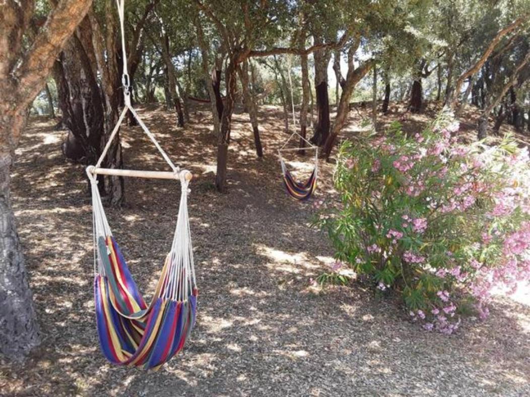 Gites Carbuccia En Corse Avec Piscine Chauffee Екстер'єр фото